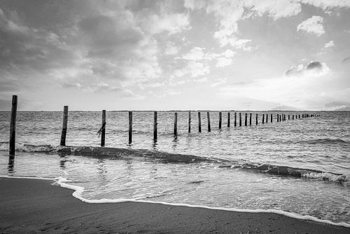 Maasvlakte beach poles in the sea in black and white