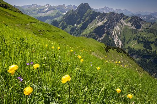 L'été alpin sur le sentier d'angle de Laufbach - Sous l'emprise de Höfats