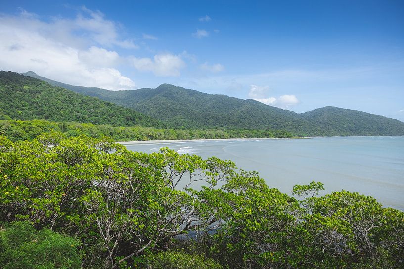 La forêt tropicale de Daintree : une ancienne merveille de la nature par Ken Tempelers
