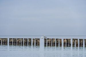Mecklenburg Vorpommern