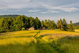 Beautiful landscape at the Thuringian Forest by Oliver Hlavaty