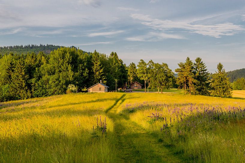 Prachtig landschap in het Thüringer Woud van Oliver Hlavaty