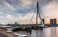 Erasmus-Brücke, Rotterdam von Lorena Cirstea Miniaturansicht