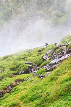 Spray from the waterfall sur Christein van Hoffen