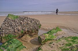 Northsea Walk von 7Horses Photography