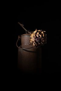Nature morte à l'artichaut