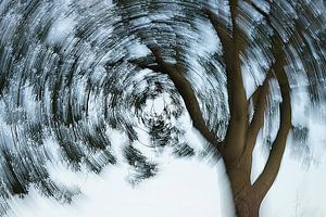 arbre tournant