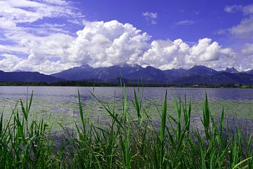 Hopfen am See in Allgäu Beieren Duitsland van Karl-Heinz Petersitzke