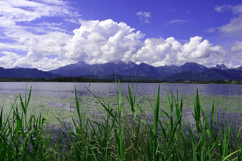 Hopfen am See im Allgäu Bavière Allemagne par Karl-Heinz Petersitzke