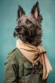 Belgian Laekenois von Poster Art Shop