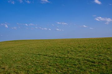 A green meadow with blue sky and some clouds