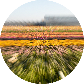 Abstract kleurrijk van een bloemenveld van Yanuschka Fotografie | Noordwijk