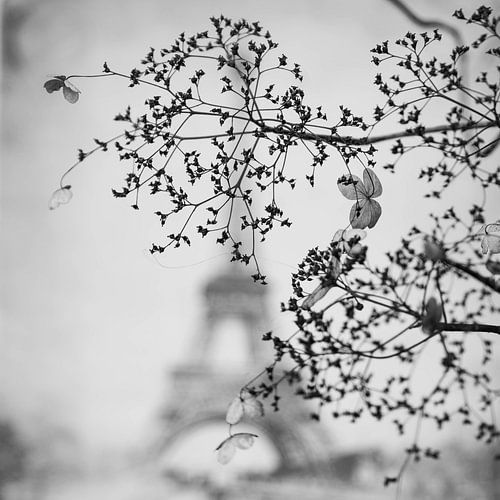 Ein Blick auf Frankreich