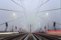 Foggy Rotterdam