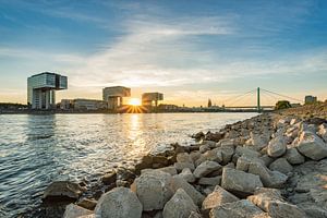 Sommer in Köln