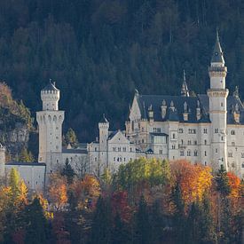 Neuwschwanstein Castle in Schwangau and Allgäu region in southern Germany by Marga Vroom