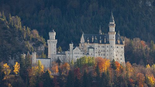 Kasteel Neuwschwanstein in Schwangau en regio Allgäu in het zuiden van Duitsland