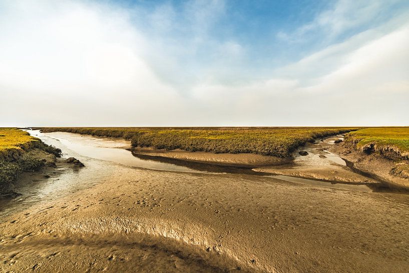 Salt Marsh VII by rosstek ®