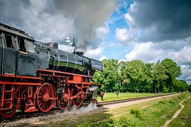 Een stoomlocomotief rijdt door het platteland van Sjoerd van der Wal Fotografie