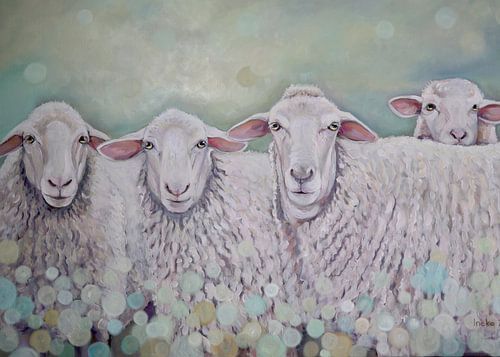 Nieuwsgierige schapen