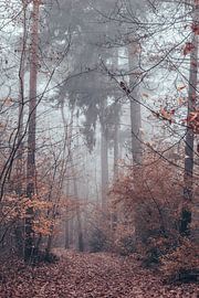 Misty Morning van Tessa in Focus