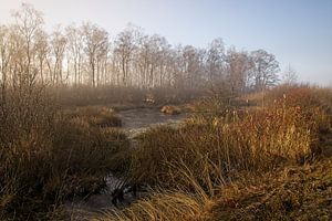 National Park Groote Peel