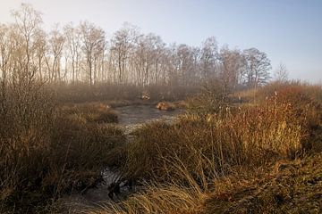 Nationaal park de Groote Peel van Rob Boon