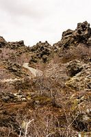 Dimmuborgir, lavarotsen in IJsland