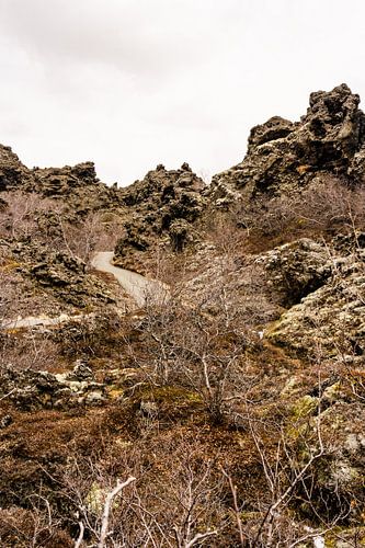 Dimmuborgir, lavarotsen in IJsland