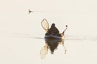 fisherman in the biesbosch