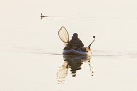 fischer im biesbosch von kees wolthoorn