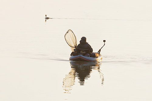 visser in de biesbosch