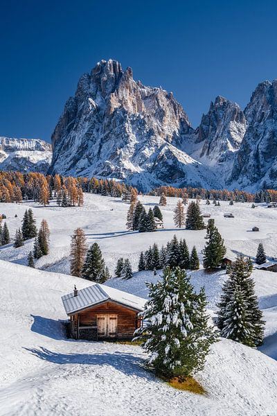 L'automne sur l'Alpe de Siusi par Achim Thomae Photography