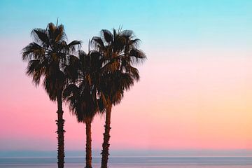 Drie palmbomen op een zomeravond van Philippe HUGONNARD