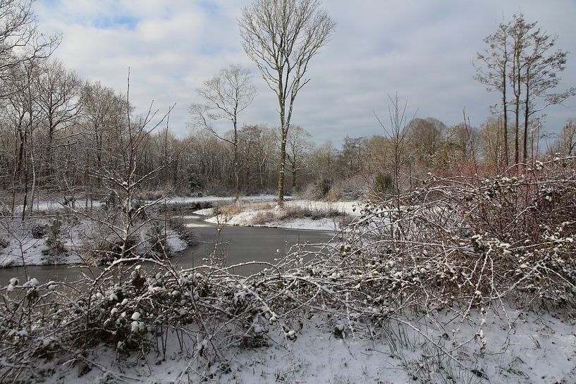 Winter in Friesland by Fotografie Sybrandy
