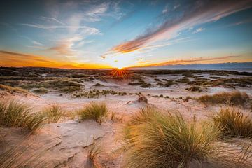 Paysage de dunes néerlandaises sur Original Mostert Photography