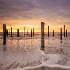 Village de palmiers de Petten sur la plage dans l'eau de mer sur KB Design & Photography (Karen Brouwer)