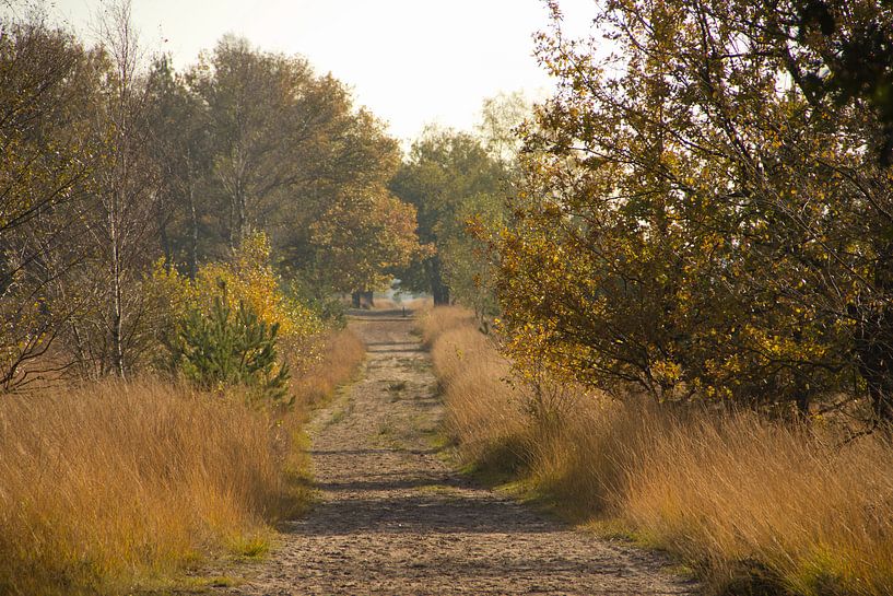 Op pad van Wanda van Eck