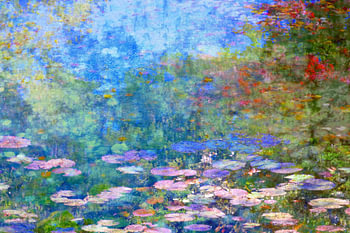 Teich mit Seerosen
