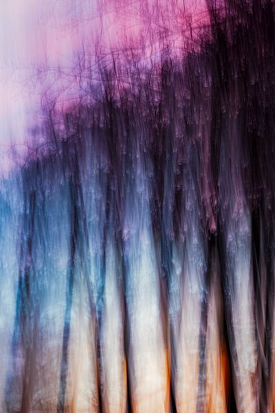 Die stillen Zeugen des Lichts (5 von 10) von Linda Hutten