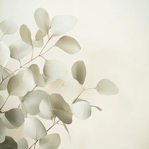 Eucalyptus takken minimalistisch
