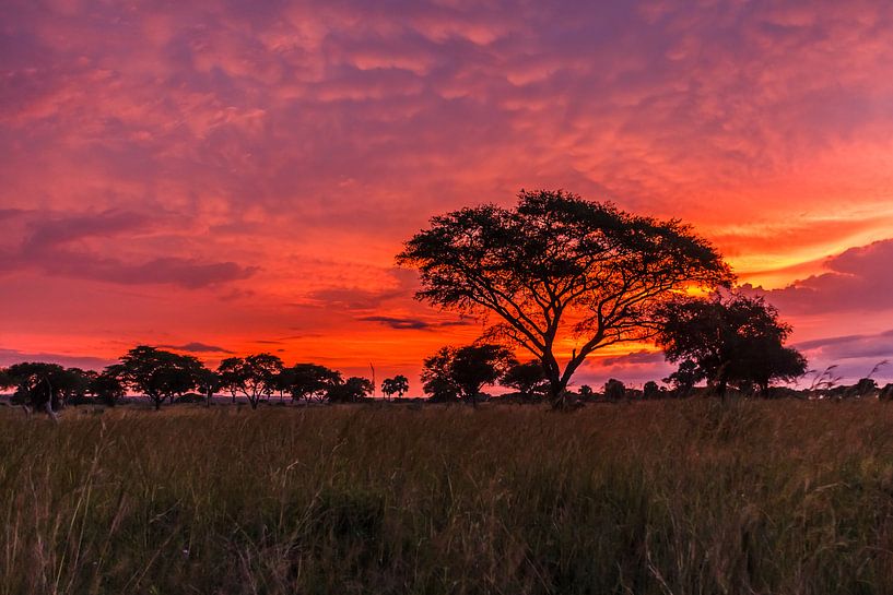 lever du soleil Ouganda par Mariette Kapitein