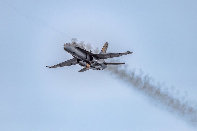 Schiessen auf Schweizer Boeing F/A-18C Hornet. von Jaap van den Berg