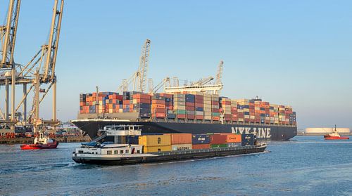 Navire porte-conteneurs de cargaison sur un terminal de récipient dans le port de Rotterdam