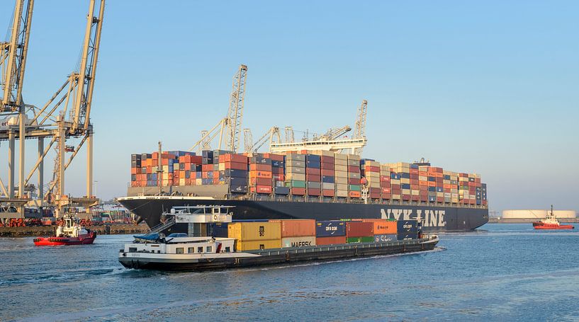 Containerschiff an einem Behälterterminal im Rotterdam Hafen von Sjoerd van der Wal Fotografie