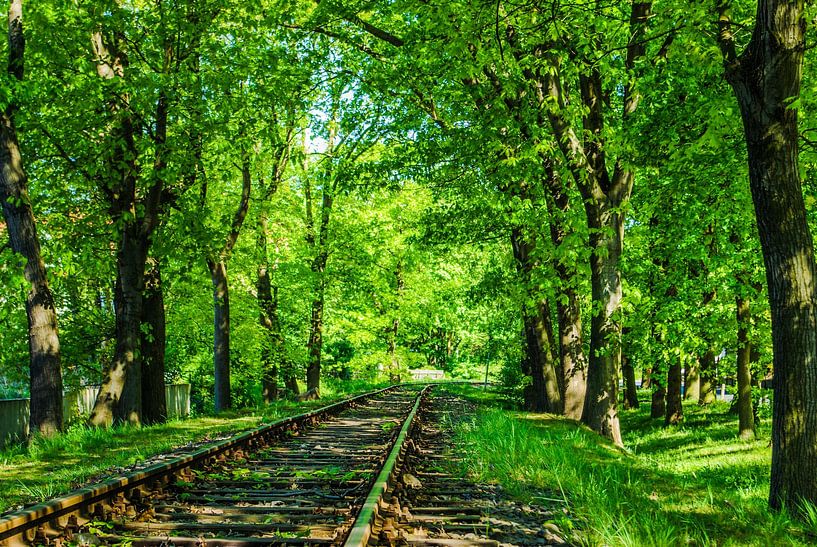 A picturesque route by Norbert Sülzner