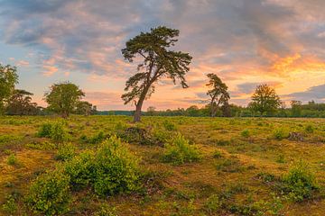 Zonsopkomst in het Nationale Park Drentsche Aa van Henk Meijer Photography