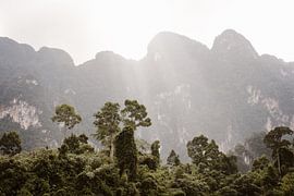 Zonsopgang in Khao-Sok, Thailand van Wianda Bongen