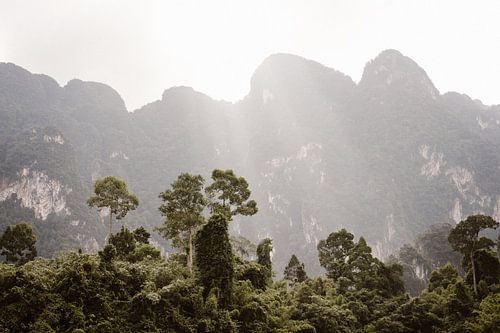 Lever du soleil à Khao-Sok, Thaïlande