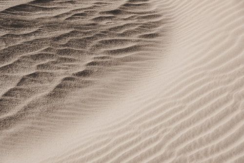 Abstract beeld van een zandduin in de woestijn